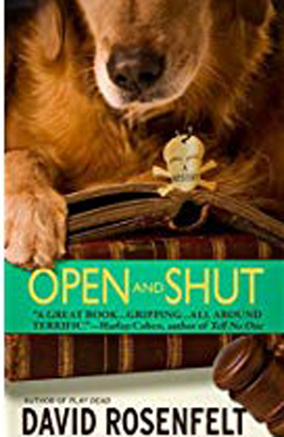 OpenandShut.jpeg